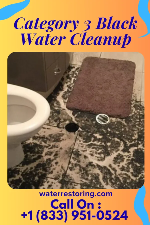 Category 3 Black Water Cleanup in Milladore, WI