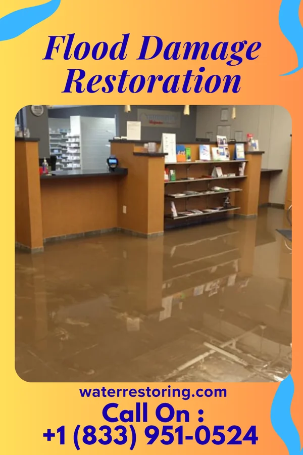 Flood Damage Restoration in Milladore, WI