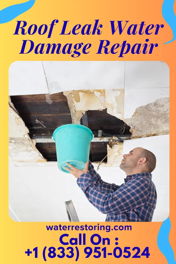 Roof Leak Water Damage Repair in Milladore, WI